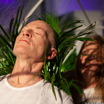 Fern Orchestra (112/234)